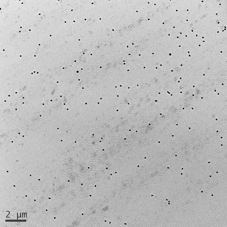 Nanoparticella di argento, immagine ingrandita 1000 volte